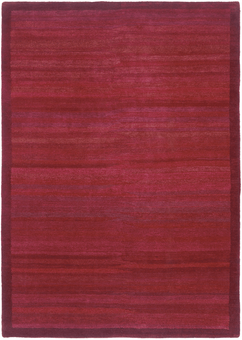 Picture of a Gamba Border rug
